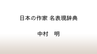 中村明「日本の作家 名表現辞典」あらすじと感想と考察